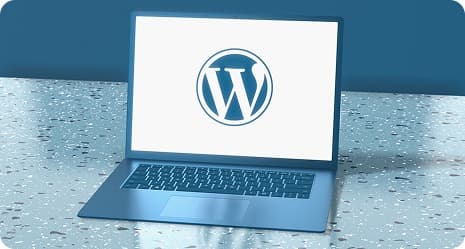 Web Design (WordPress)